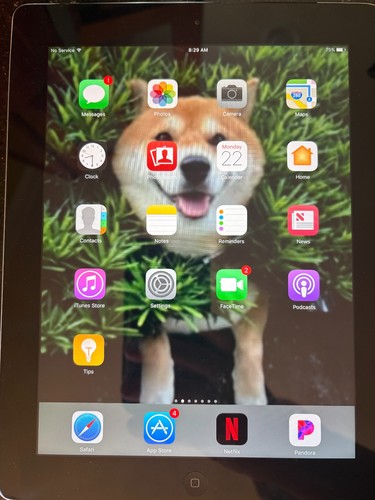 Apple ipad - (4a, generazione)