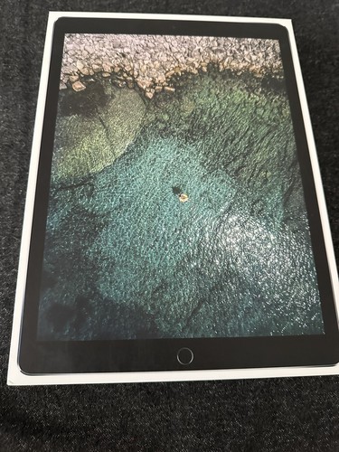 Apple ipad pro - apple, 64gb